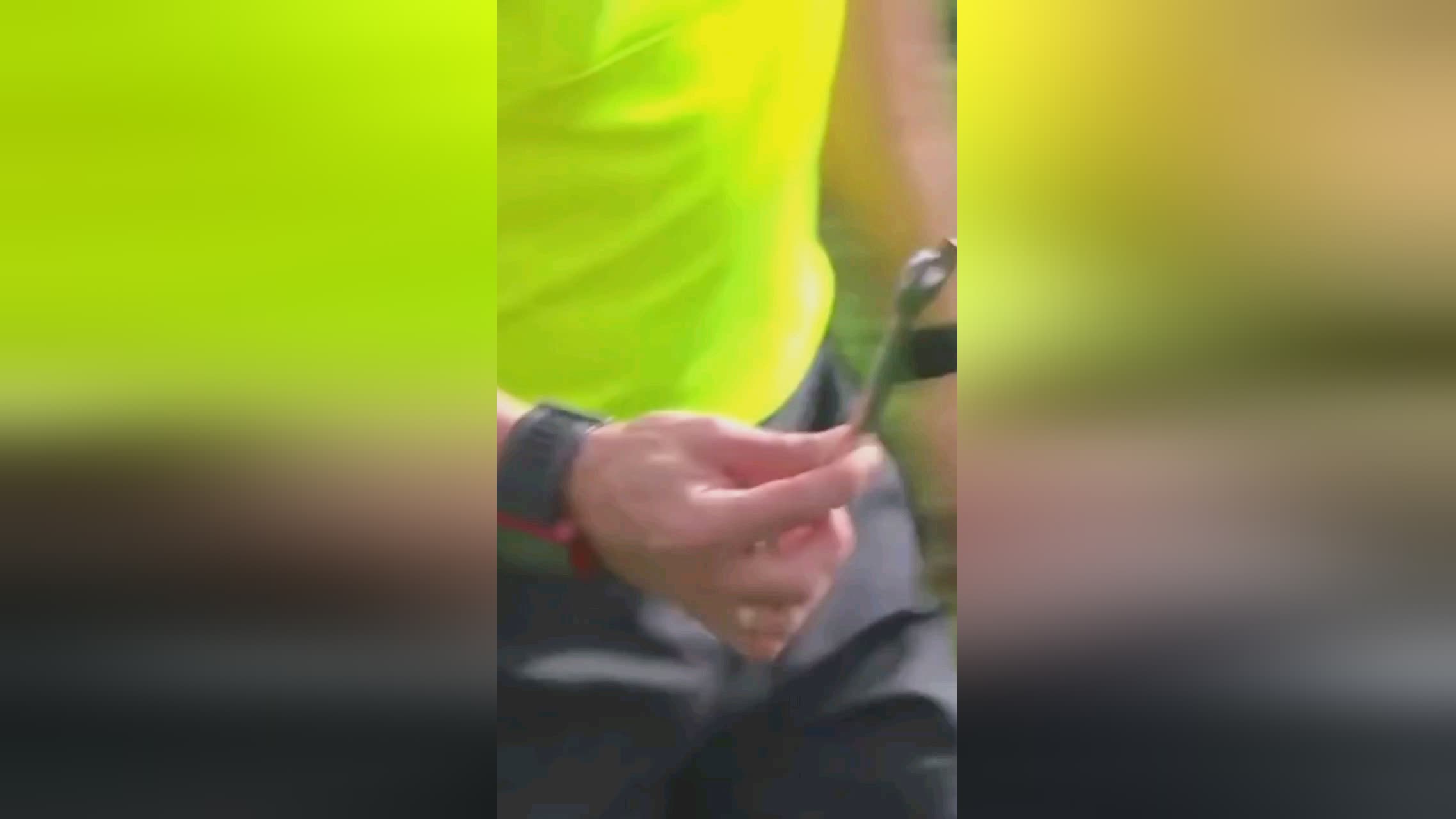 加图索这